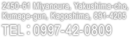 2450-61 Miyanoura, Yakushima-cho, Kumage-gun, Kagoshima, 891-4205 TEL: 0997-42-0809