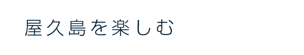 島の案内